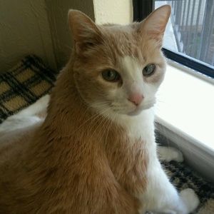 Meet your Posher, Brenda